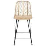 Bar Chair 2 pcs 44.5 x 54.5 x 97.5 cm Rattan and Iron 42011546