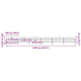 Garden Fence with Spear Top Steel 1070x100 cm Black 277717