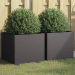 ZNTS Planters 2 pcs Black 42x40x39 cm Steel 841548