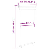 ZNTS Balcony Side Awning 105x250 cm Grey 48416