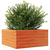 Garden Planter Wax Brown 50x50x23 cm Solid Wood Pine 847185