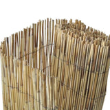 ZNTS Garden Reed fence 100x1000 cm 147738