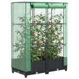 ZNTS Raised Bed with Greenhouse Cover Rattan Look 80x40x123 cm 4015810