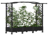 Raised Bed with Trellis and Roof Black 169 x 40 x 129 cm PP 3423097