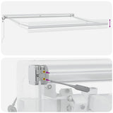 Automatic Retractable Awning Brown 300x250 cm 3215728