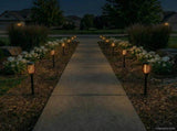Outdoor Solar Lights with Ground Spike 12 pcs Warm White ABS 42042722