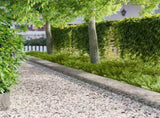 Lawn Edging 10 pcs 103 x 30 cm Steel Silver 8008416