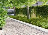 Lawn Edging 10 pcs 100 x 20 cm Steel White 8008578