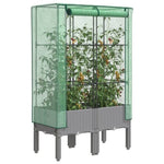 ZNTS Raised Bed with Greenhouse Cover Rattan Look 80x40x140 cm 4015861