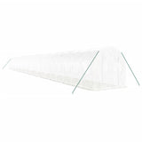 Greenhouse with Steel Frame White 48m 24x2x2 m 3188038