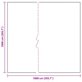 Plant Cover Transparent 10 x 10 m PE 3429332