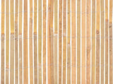 Bamboo Fence 1000x50 cm 142678