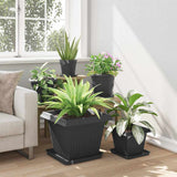 Square Flower Tray 24 pcs Black 36 x 36 x 3 cm Plastic 42020378