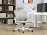 Multi-Adjustable Office Chair, with Lumbar Support, Headrest and Mesh Back - Grey T3398P329884