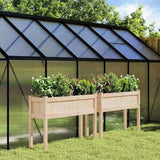 Garden Planters 2 pcs with Legs Solid Wood Pine 837565