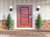 135cm Artificial Cypress Trees Set of 2, UV Resistant Artificial with Decorative Pot, Fake T3398P424881