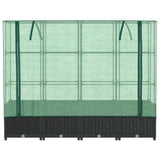 ZNTS Raised Bed with Greenhouse Cover Rattan Look 160x40x138 cm 4015816