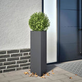 Garden Planter Anthracite Triangular 30x26x75 cm Steel 851147