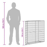 Trapezium Gabion Raised Bed Galvanised Steel 100x20x100 cm 145653