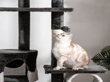 Floor-to-Ceiling Cat Tree for Indoor Cats, 240-260cm Adjustable Cat Tree - White T3398P347599