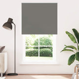 ZNTS Roller Blind Blackout Grey 125x230 cm Fabric Width 121.6 cm Polyester 4011211