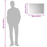 LED Bathroom Mirror Transparent 60 x 40 cm Tempered Glass 42045794