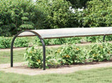 Plant Cover Transparent 20 x 1.5 m PE 3429338