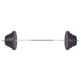Barbell and Dumbbell Set 120 kg 91406