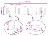 Roof Snow Guard Black 300 cm Steel 42028472
