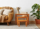 Nesting Side Tables 3 pcs Natural Solid Mahogany Wood 42009927