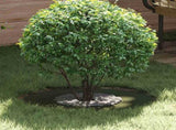 suitable for Flat Tree Rings 5 pcs Olive green 30 / 60 cm Steel 873669