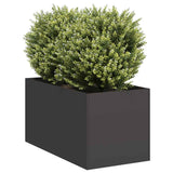 Planter Black 40x80x40 cm Cold-rolled Steel 860731