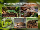 Glass Reptile Terrarium Insect Breeding Tank Vivarium Habitats with Thermometer for Lizards, Horned T3398P349997