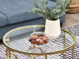 Round Coffee Tables Set of 2, Gold Nesting Side End Tables with Tempered Glass Top, Steel Frame for T3398P342264