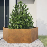 ZNTS Garden Planter Hexagon 138x120x45 cm Weathering Steel 851142