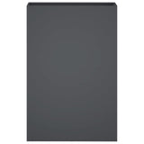 Garden Planter 2 pcs Anthracite 50 x 20 x 75 cm 8005461