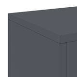 Plant Stand 2 pcs Anthracite 24 x 24 x 75 cm Steel 865822