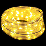 Rope Light with 2400 LEDs Warm White 100 m PVC 42018918