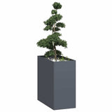 Planter Anthracite 40x80x80 cm Steel 860775