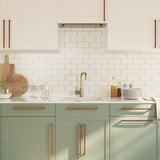 Cabinet Handles 20 pcs Bronze 320 mm Stainless Steel 3203665