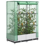 ZNTS Raised Bed with Greenhouse Cover Rattan Look 80x40x123 cm 4015838