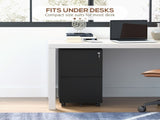 2-Drawer Vertical Filing Cabinet with Lock 5 Wheels, Steel Mobile File Cabinet, for A4, Legal T3398P342418