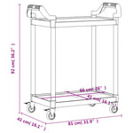 ZNTS 2-Tier Trolley Grey 81x41x92 cm Aluminium 30327