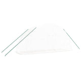 Greenhouse with Steel Frame White 12 m 6x2x2.85 m 364091