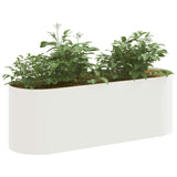 Raised Garden Bed White 120 x 40x 40 cm 8011685
