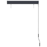 Outdoor Roller Blind 100x250 cm Anthracite 145958