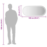 LED Bathroom Mirror Transparent 100 x 45 cm Tempered Glass 42045855
