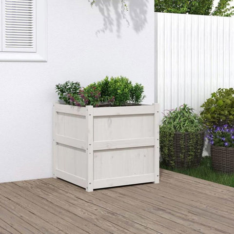 Garden Planter White 60x60x60 cm Solid Wood Pine 837426