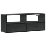 TV Cabinet Black 100x31x39.5 cm Engineered Wood and Metal 848929