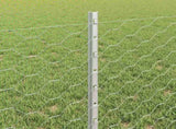 Hexagonal Fence with Post 50 x 0.6 m Galvanised Steel Silver 3337029